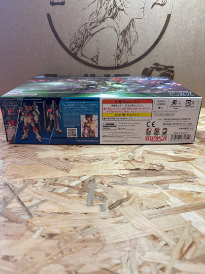 Lightning Buster Gundam HG Cosmic Era 98476